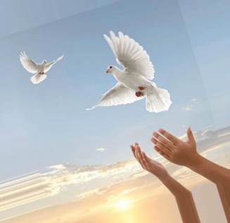 Показ фильмов ко Дню солидарности в борьбе с терроризмом