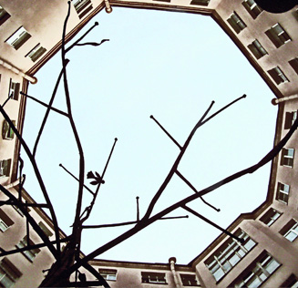 Выставка группы «Петербург - узнай место»: «От льва до одуванчика»