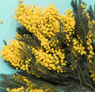 График Музея Достоевского 6-9 марта 2020