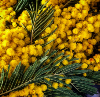 График работы Музея Достоевского 5-8 марта